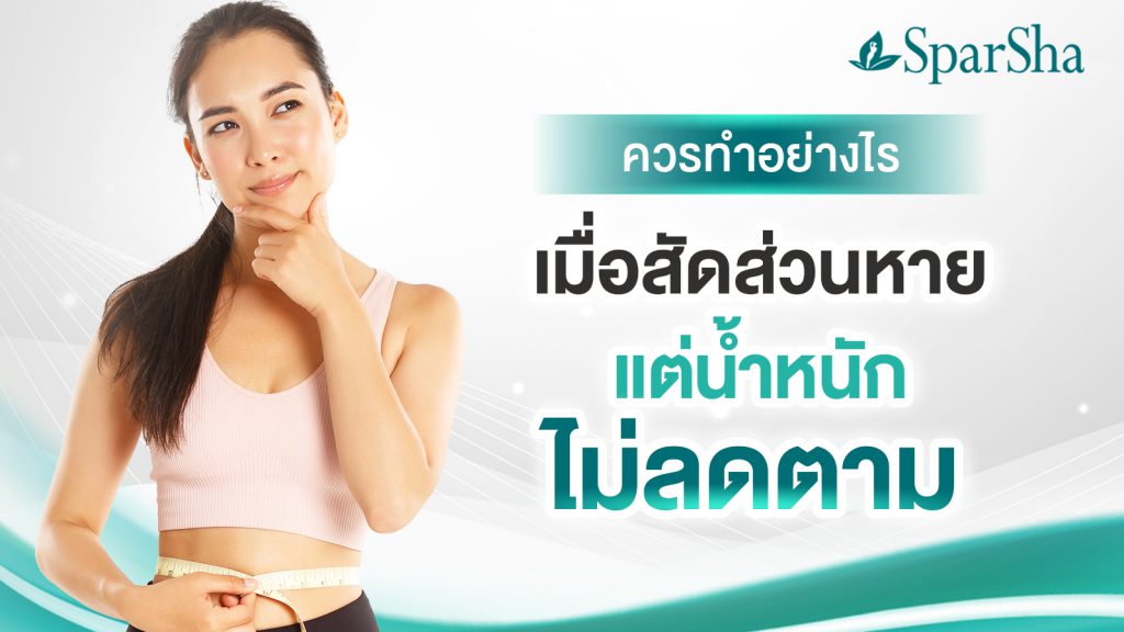 ลดสัดส่วน sparsha thailand