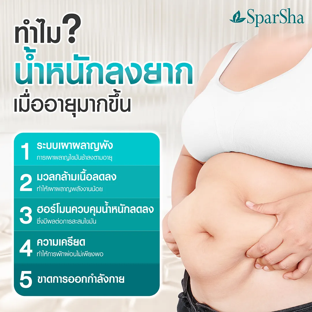 IV Weight Loss ดริปวิตามินสูตรกระตุ้นการเผาผลาญไขมัน