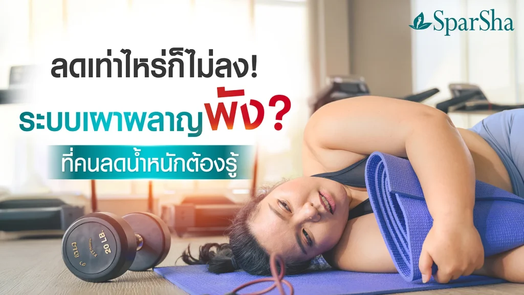 ระบบเผาผลาญพัง