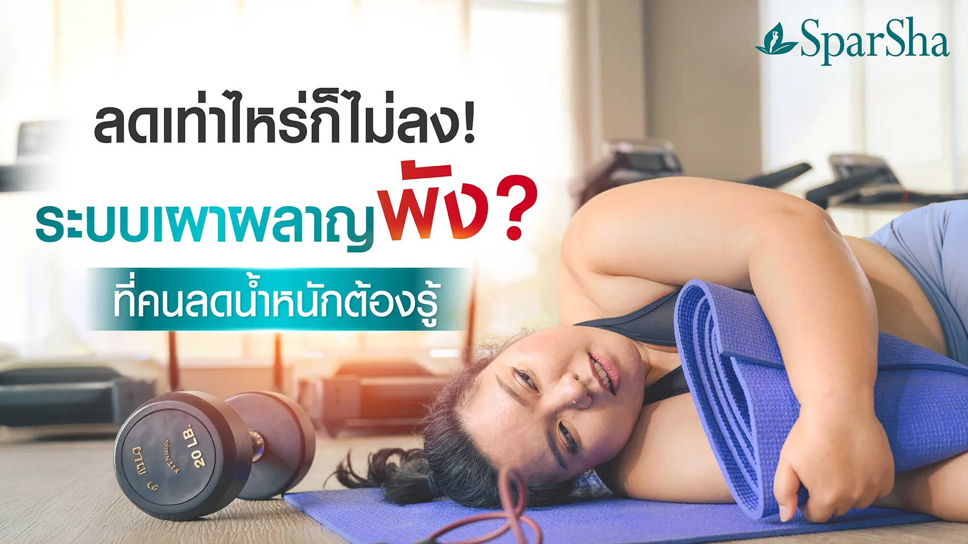 ระบบเผาผลาญพัง
