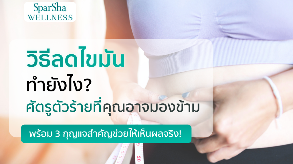 วิธีลดไขมันทำยังไง?